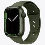 Λουράκι Σιλικόνης Apple Watch 42/44mm Πράσινο
