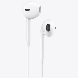 Earphones
